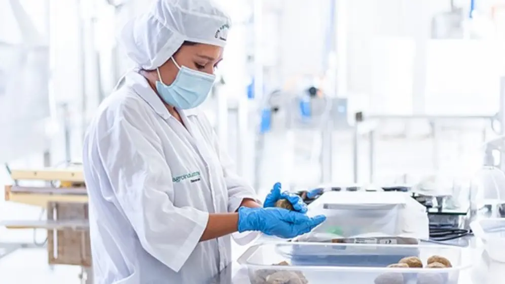 Impulsan desarrollo productivo