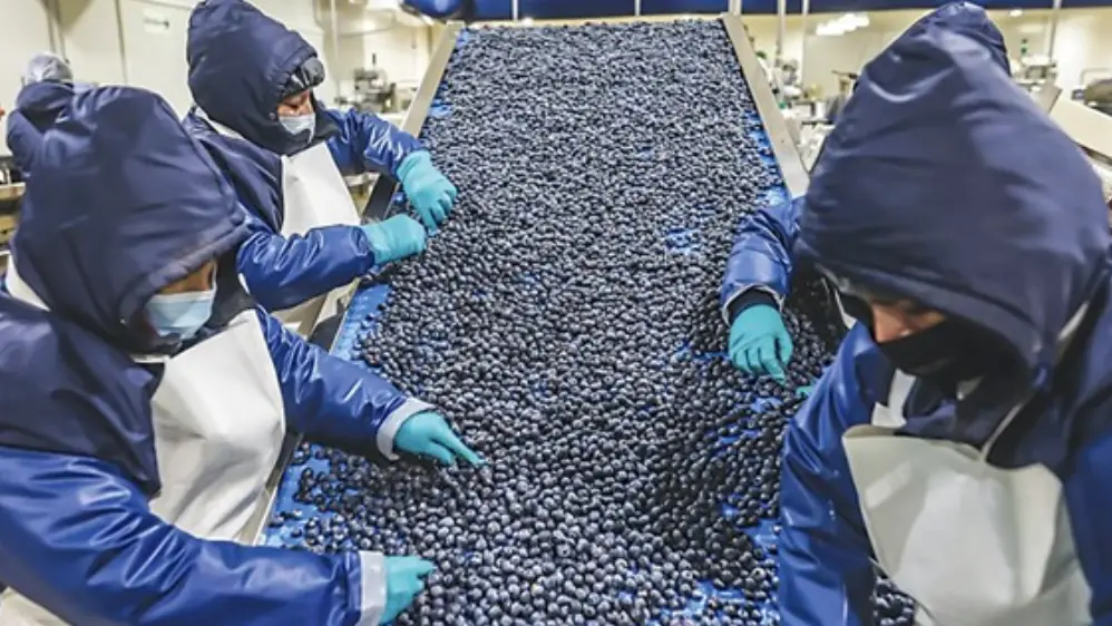 Aumenta 3.7% el número de empresas exportadoras