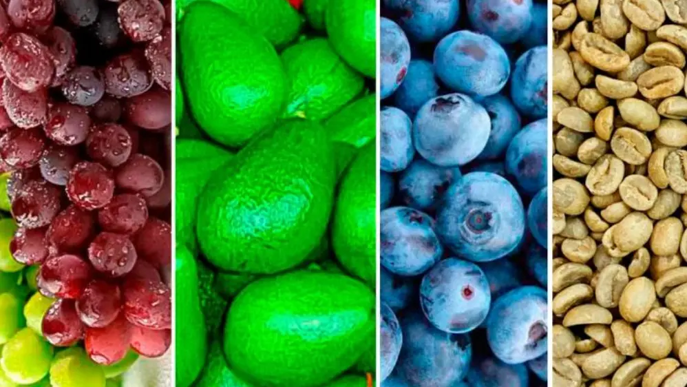 Midagri: Agroexportaciones peruanas están cerca de los US$ 5,000 millones a mayo de 2026