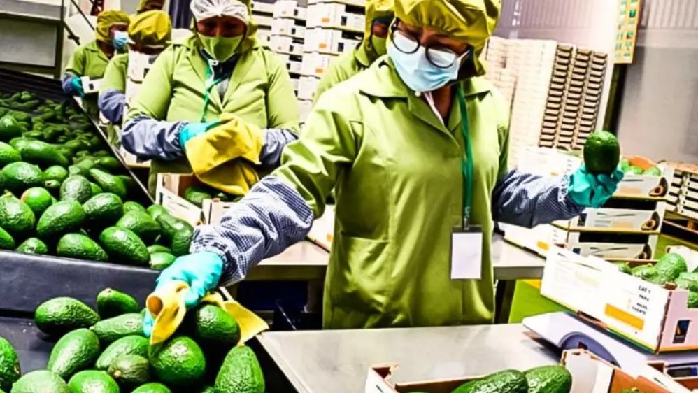 Ventas por agroexportaciones superan los US$ 8,100 millones hasta agosto 2025