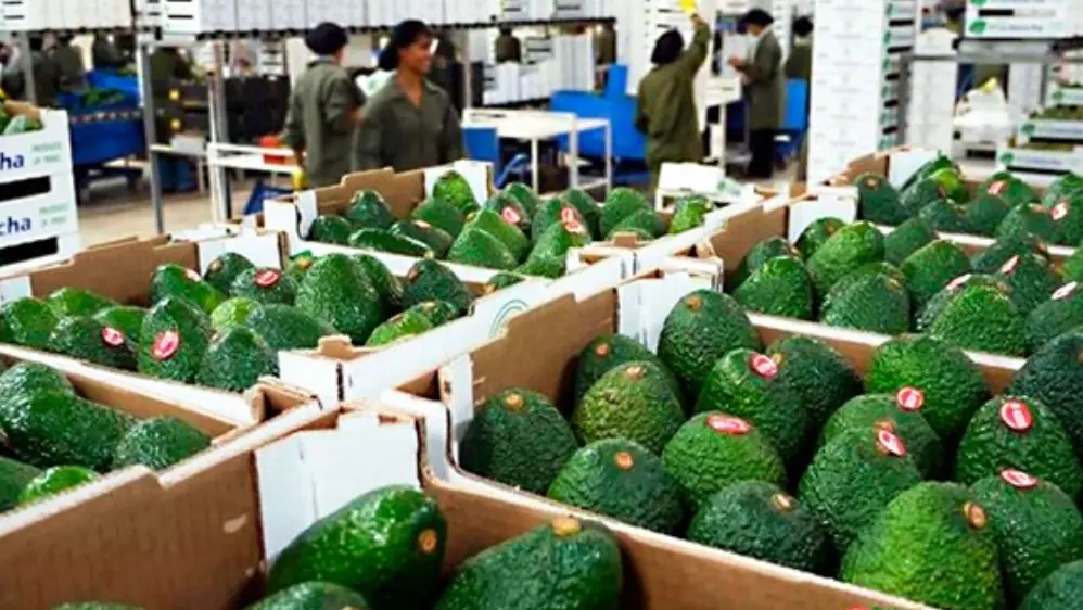 Agroexportaciones suman US$ 3,055 mllns. a marzo