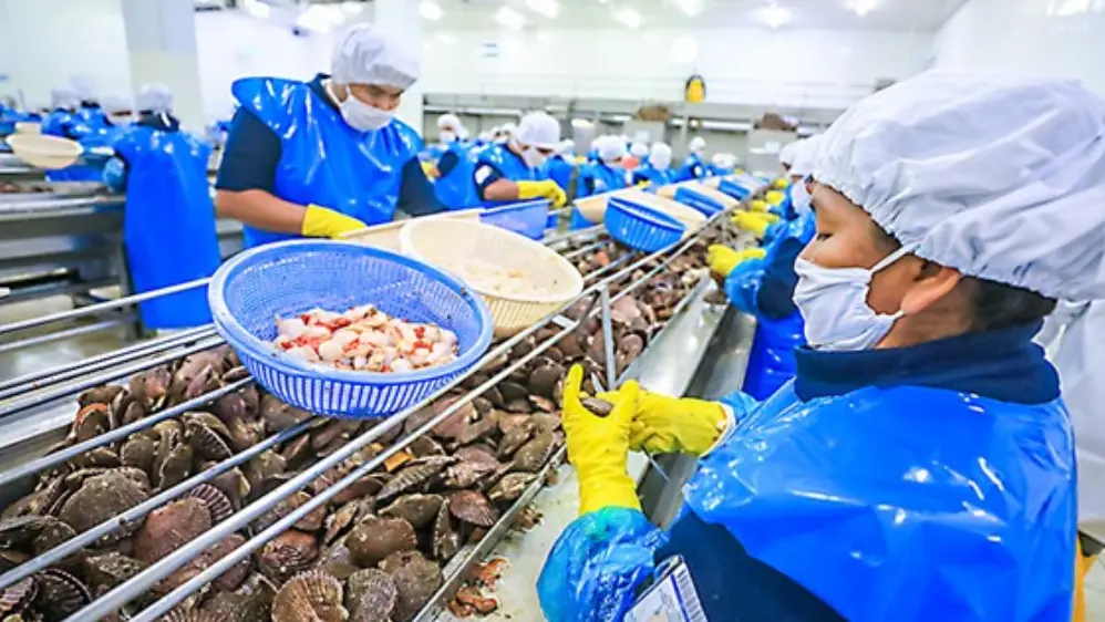 Equidad en el trabajo guía acciones del MTPE