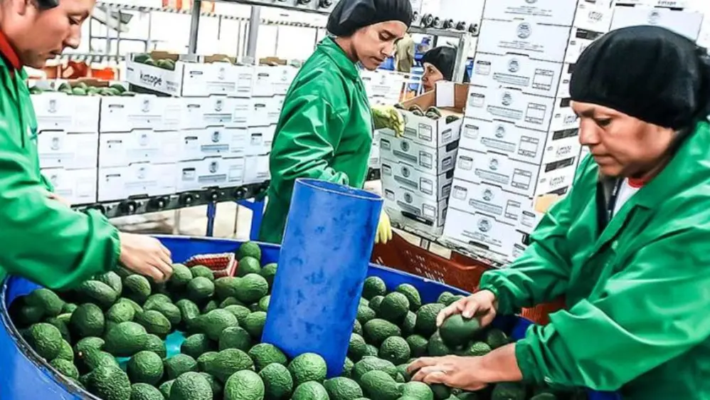 Perú alcanzaría nuevo récord con envíos por US$ 85,000 millones