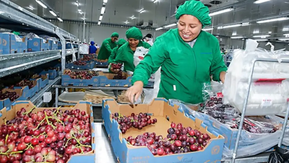 Exportaciones agrarias aumentan 3.3%