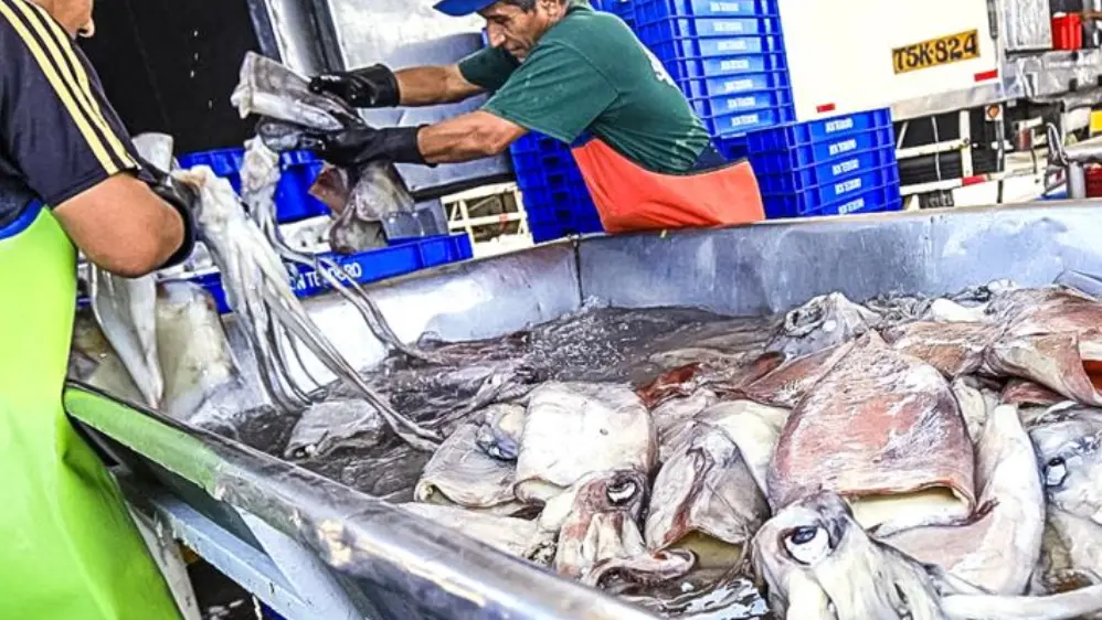 Pescadores y acuicultores: accedan al alivio financiero pagando solo una cuota inicial