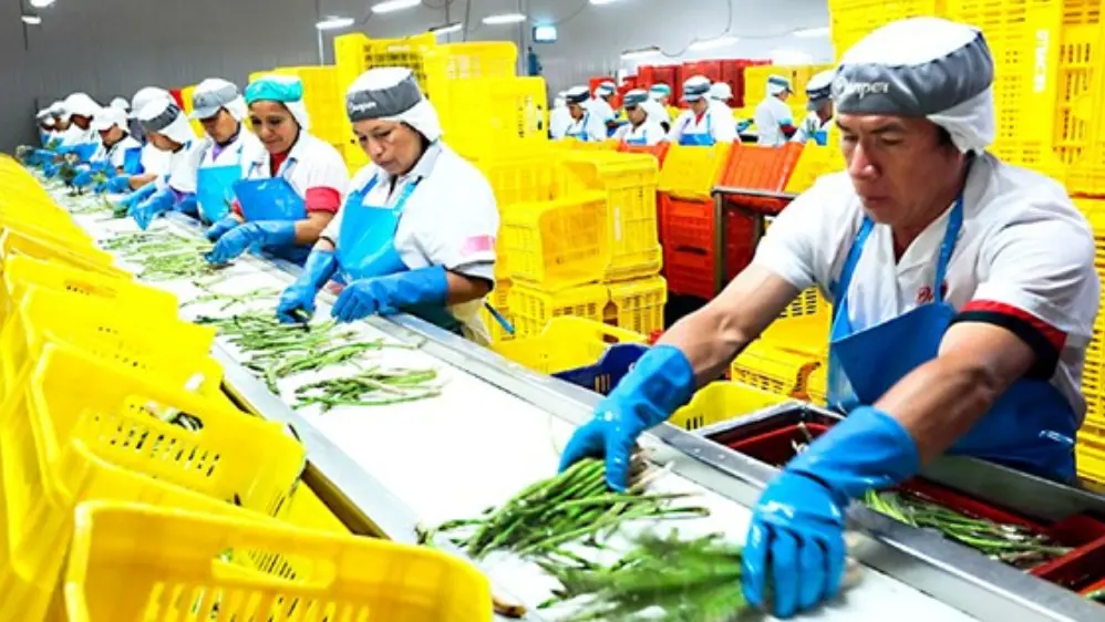Agroexportación superó los US$ 15,000 millones