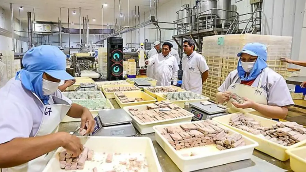 Economía: base sólida para el 2026