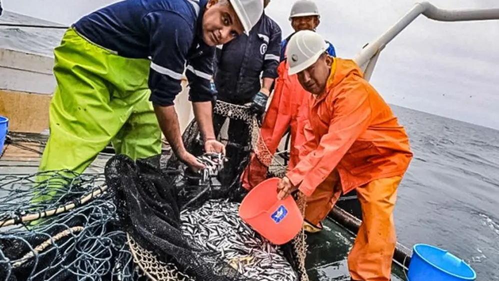 ¿Trabajas en pesca? Conoce los beneficios laborales que la ley te garantiza