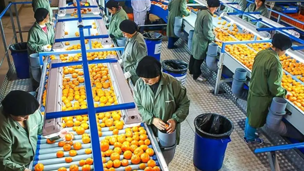 BCR: Empleo formal acumula 22 meses consecutivos de expansión