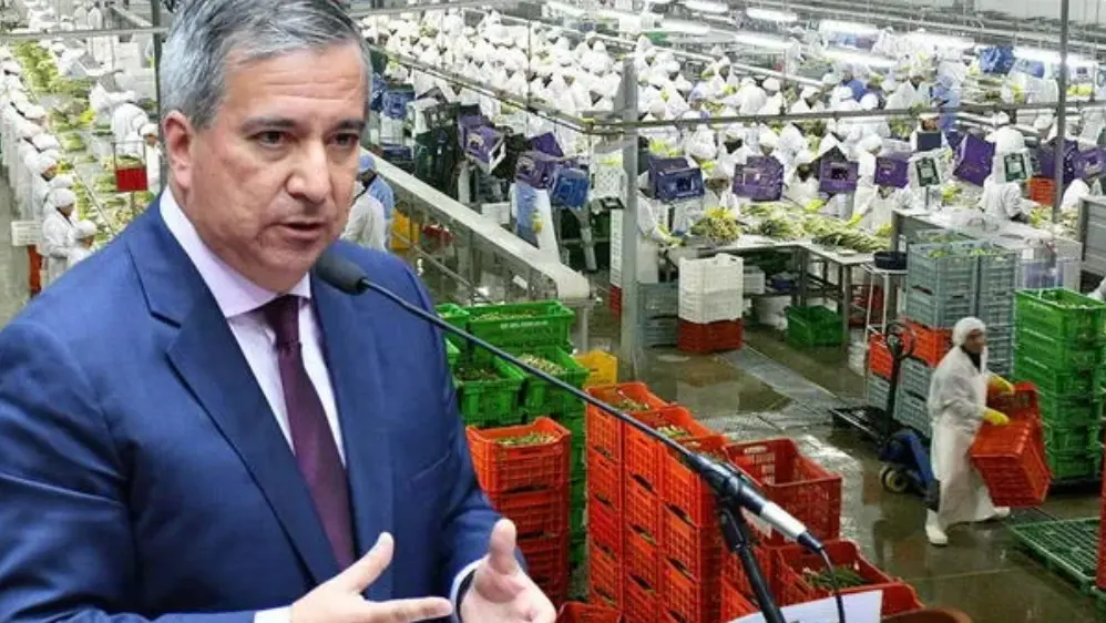 Ley Chlimper 2.0 bajo presión: MEF respalda beneficios tributarios a grandes empresas agroexportadoras