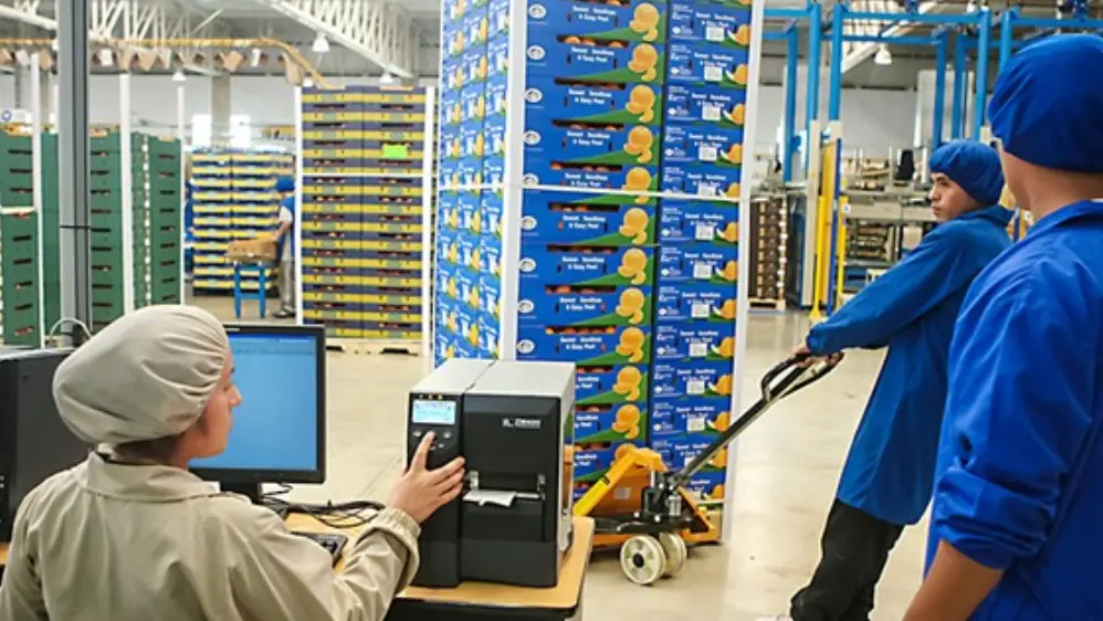 Empleos directos se incrementaron 1.8%