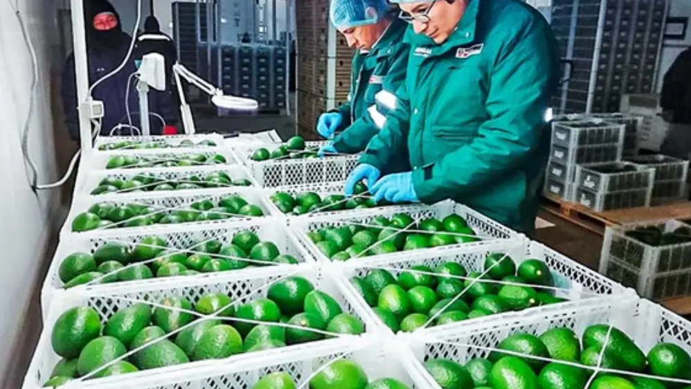 Agroexportación aumentó 6.7% en primer bimestre