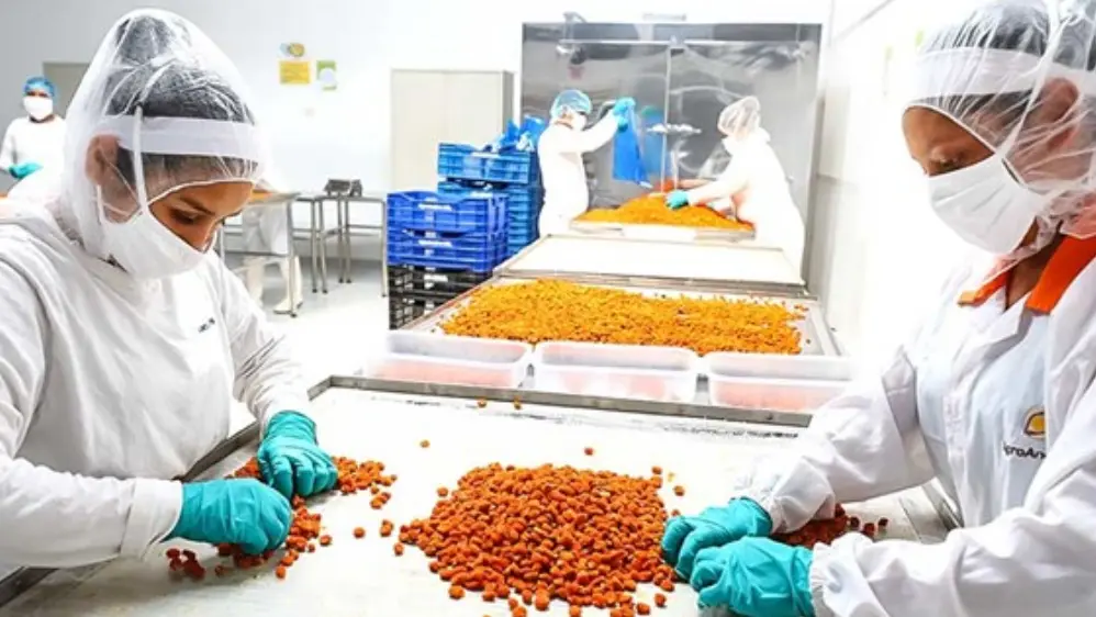 BCR: el empleo formal aumentó 4.2% en febrero